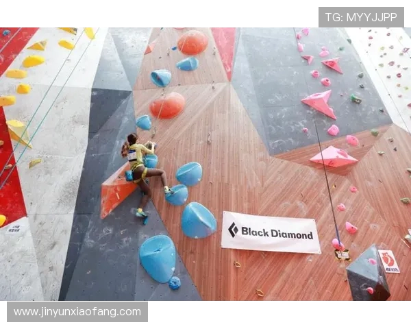 上海攀岩队在全国攀岩配合排行榜中荣获第十名的佳绩分析