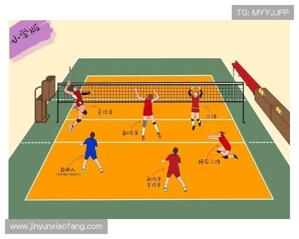 杭州排球队反击战术解析：深度剖析排球比赛中的关键策略与技巧