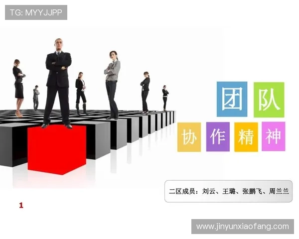 西安排球队的团队协作与战术配合深度分析与探讨